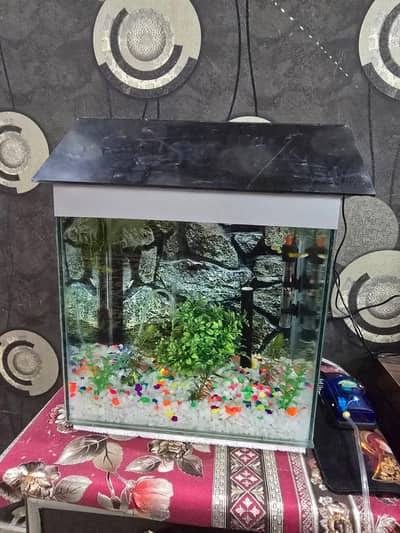 1.5 ft tank gravel filter already installed