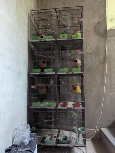 2 cage's of 8 portions