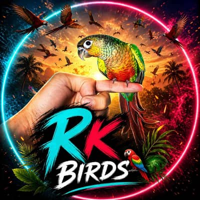 R k birds  