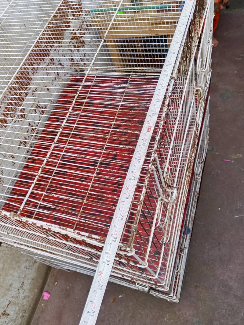Cage 2 portion 1