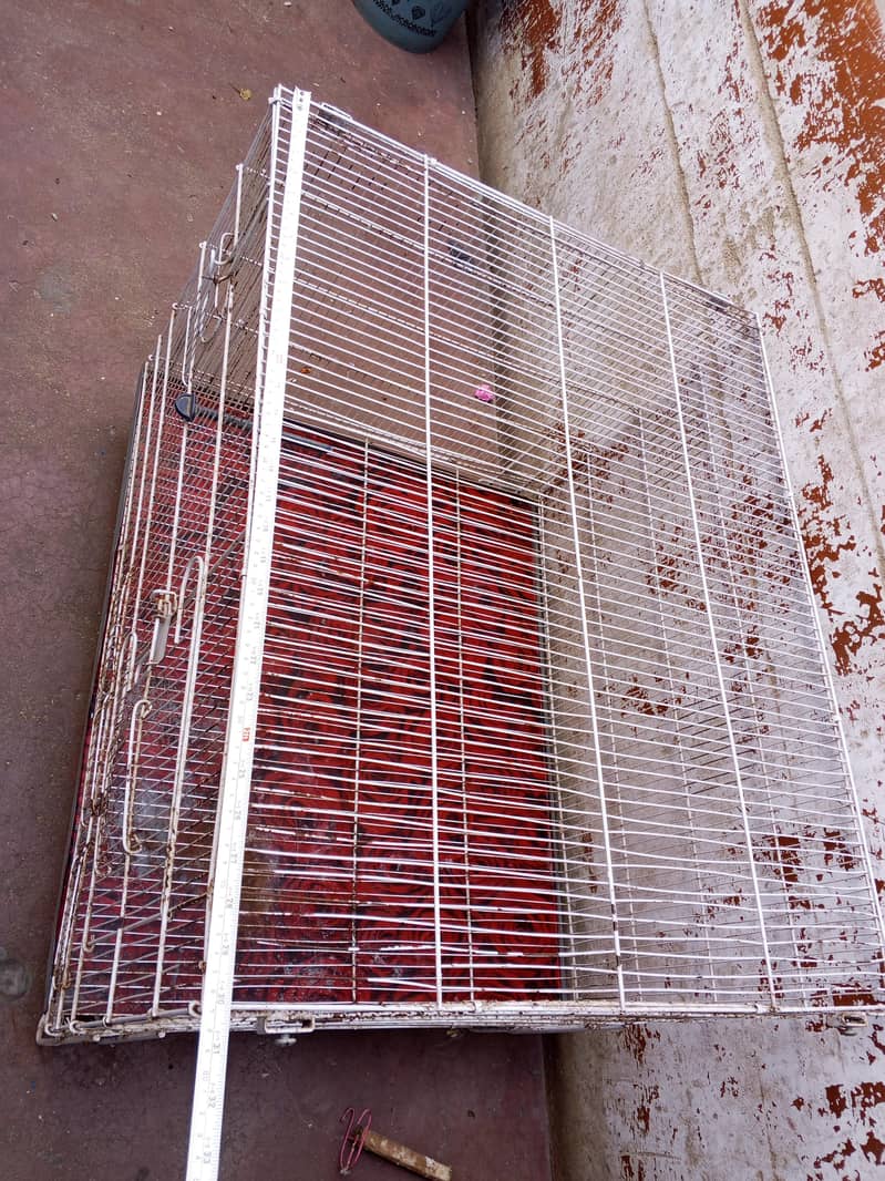 Cage 2 portion 2