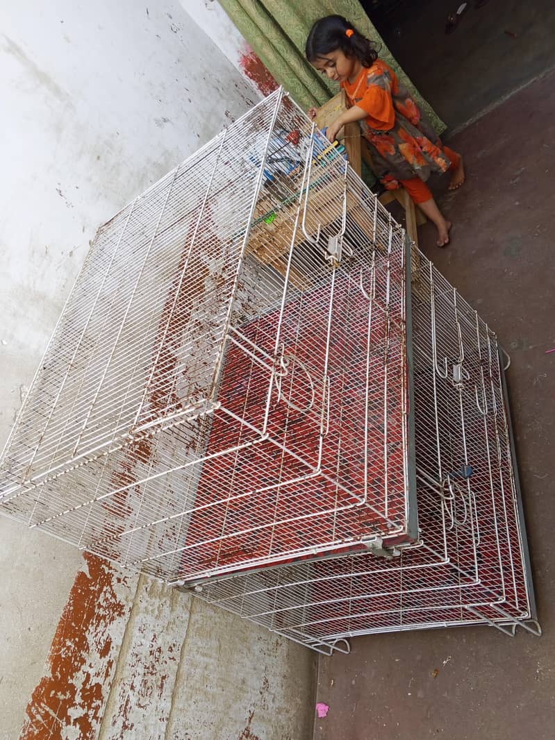 Cage 2 portion 4