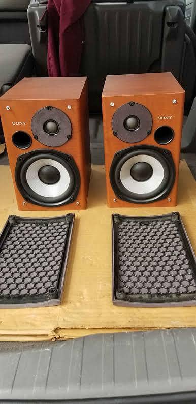 Monitor Speakers 2