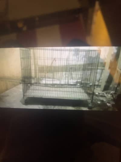 For cats and birds cage