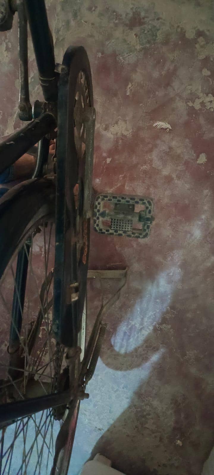 24 inch sohrab cycle | Solid cycle  | old cycle 4