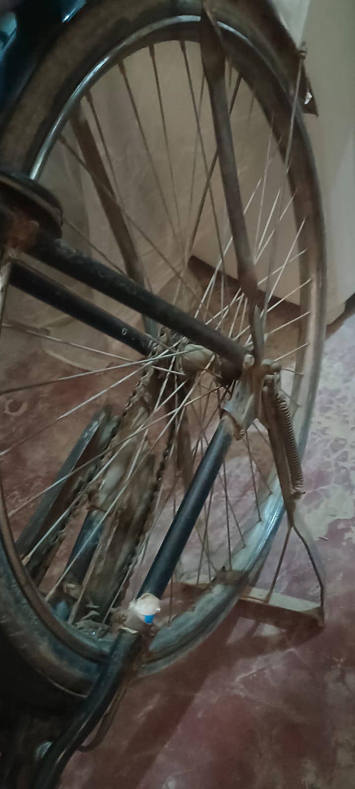24 inch sohrab cycle | Solid cycle  | old cycle 5