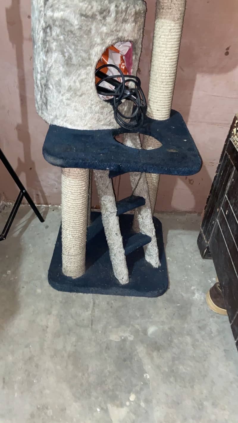 Cat house 0
