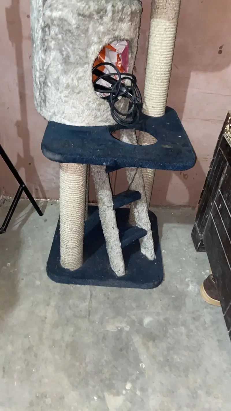 Cat house
