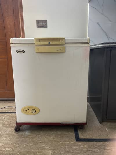 Waves single door freezer