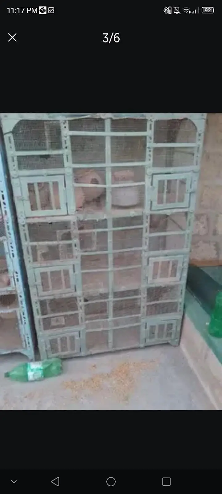 urgent for sale cages only 3 cages sale and birds — photo 3