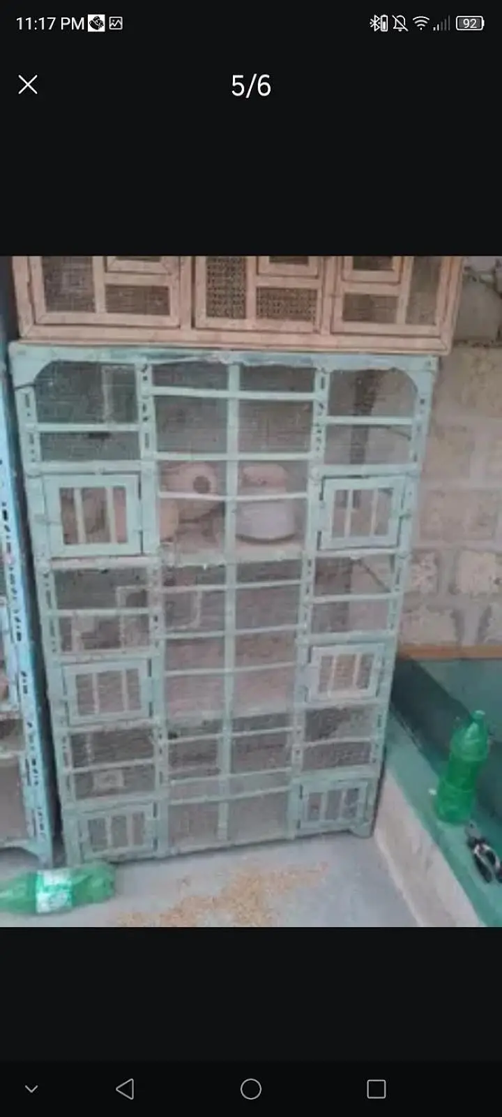 urgent for sale cages only 3 cages sale and birds — photo 5