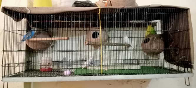 folding cage with gubbara pair