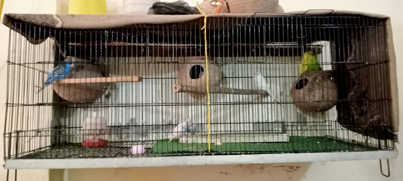 folding cage 0