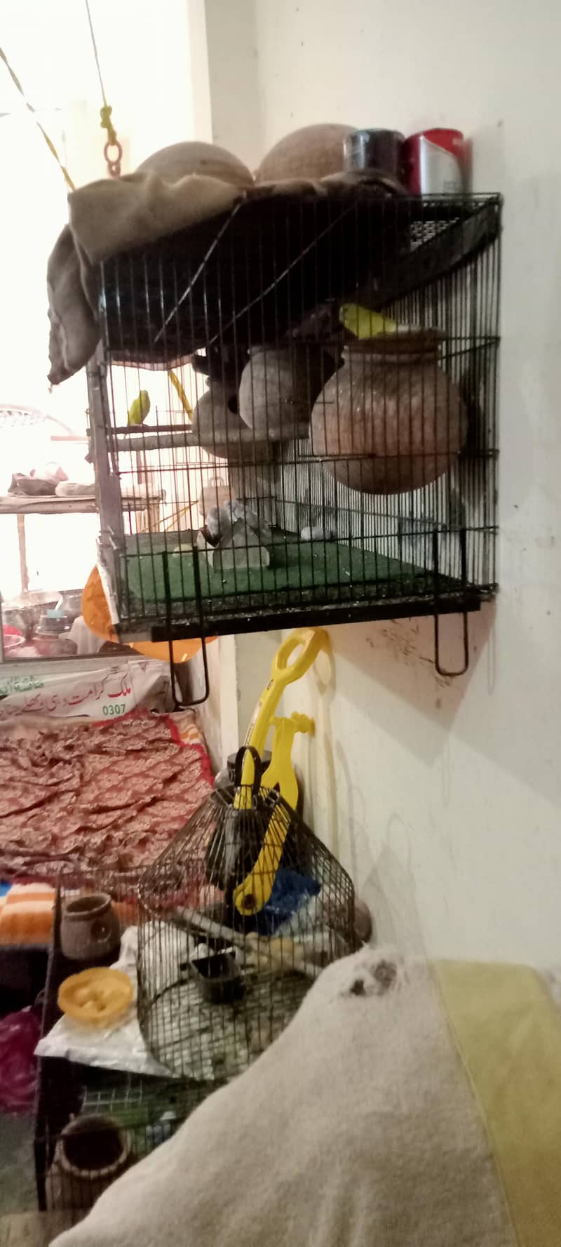 folding cage 1