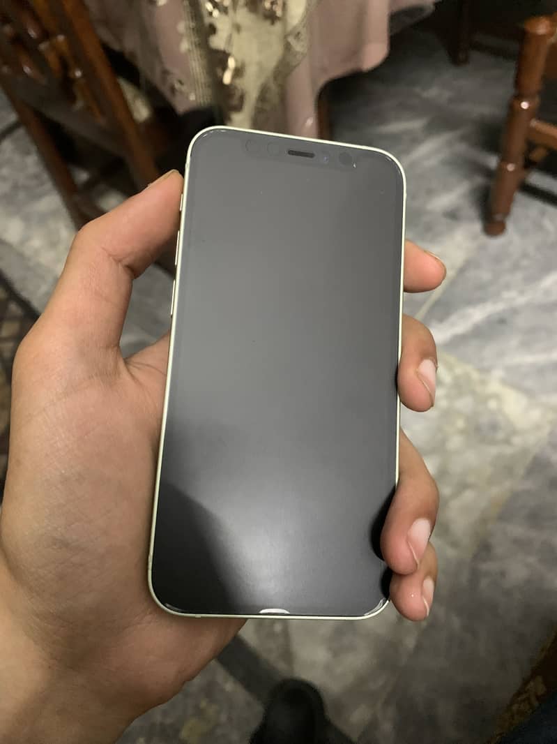 iPhone 12 mini 1
