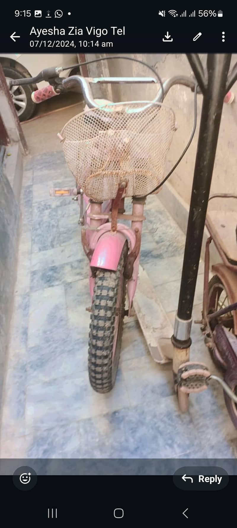 pink cycle 0