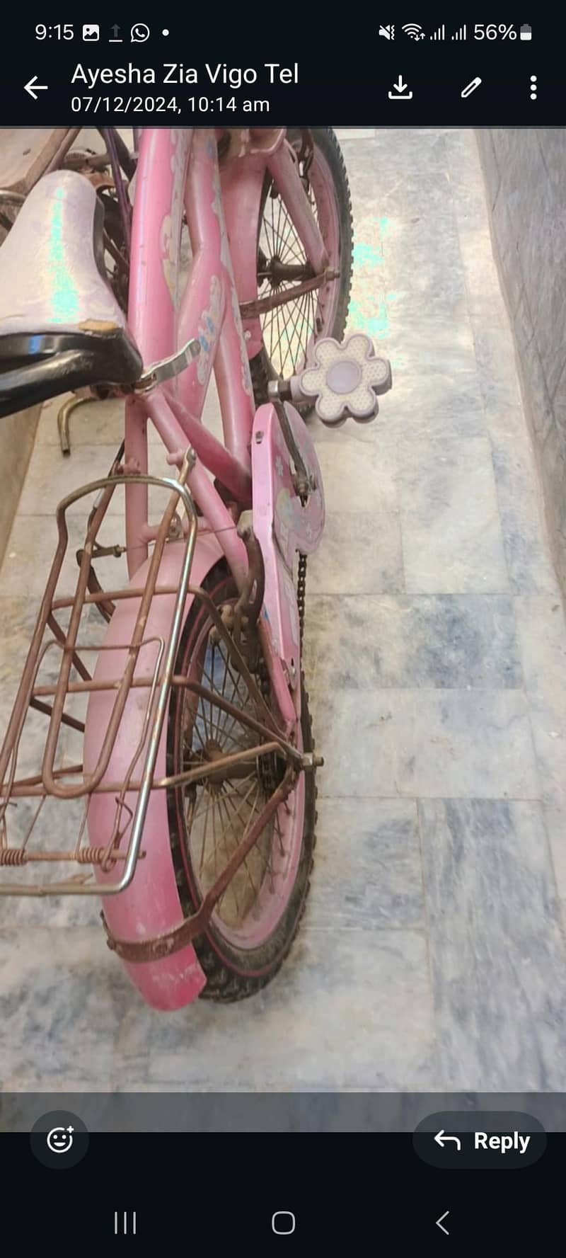 pink cycle 1