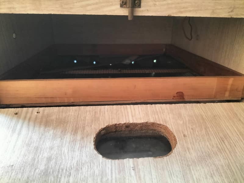 incubator 3