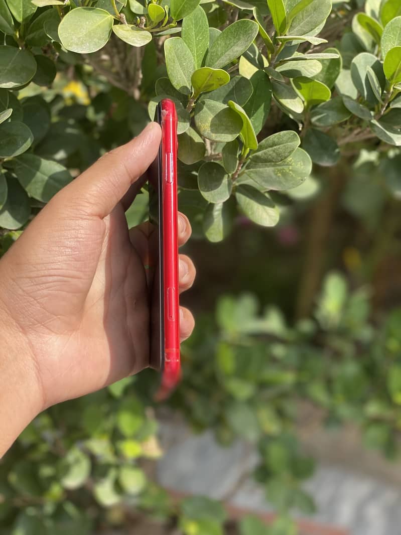 iPhone 11 0