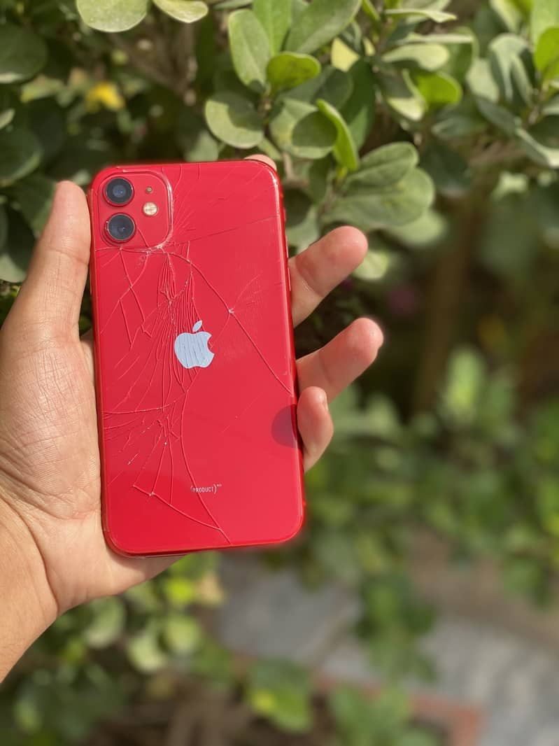 iPhone 11 1