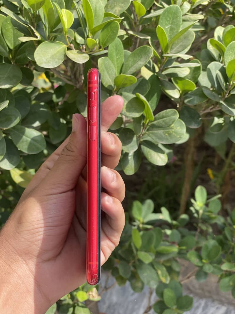 iPhone 11 3