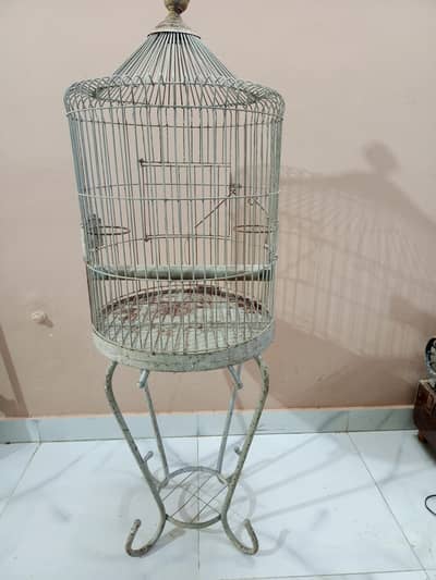 Birds cage