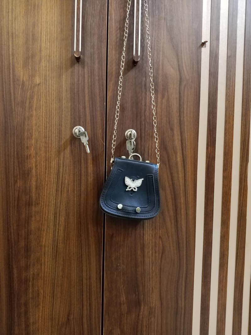hand bag 2