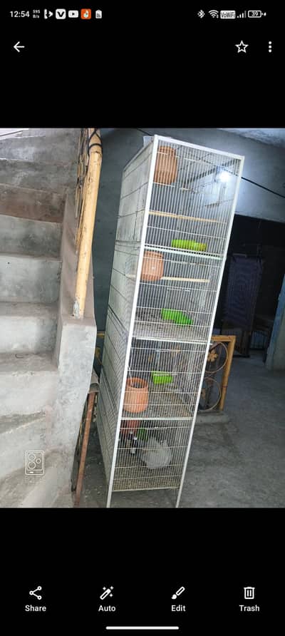 birds cage