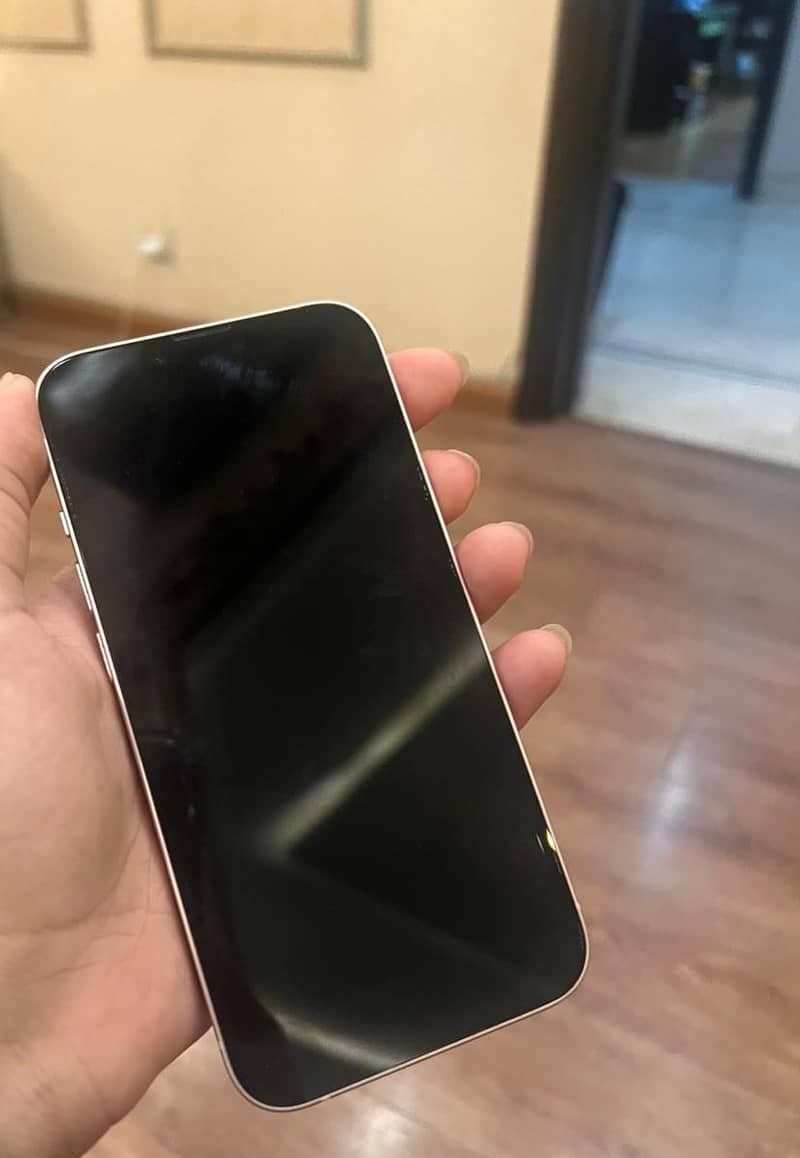 Apple iPhone 13 1