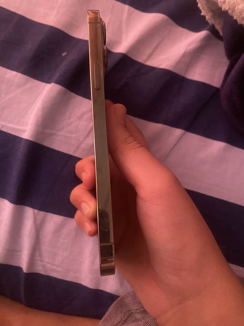 Iphone 13 Pro Max mint condition 1