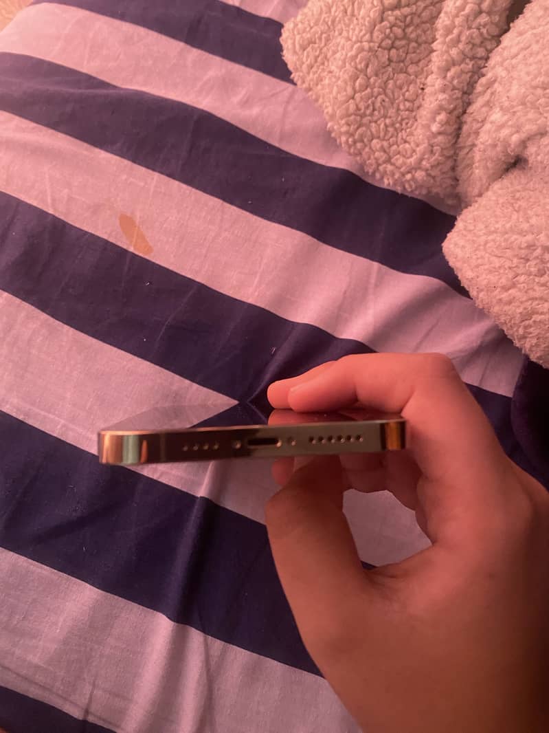 Iphone 13 Pro Max mint condition 4