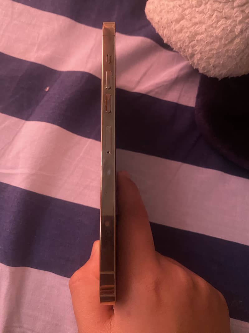 Iphone 13 Pro Max mint condition 5