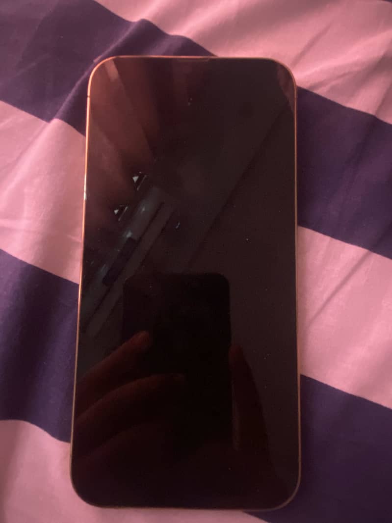 Iphone 13 Pro Max mint condition 6