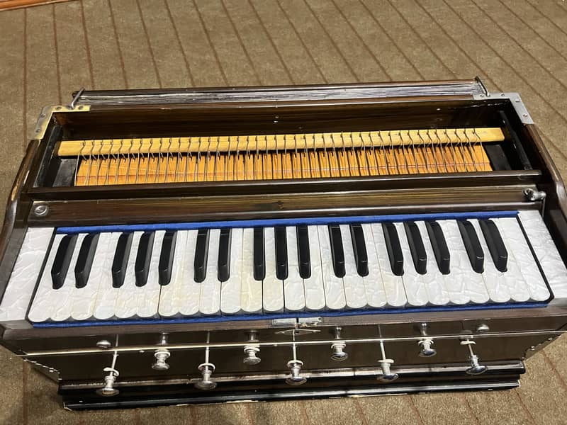 German Harmonium 4