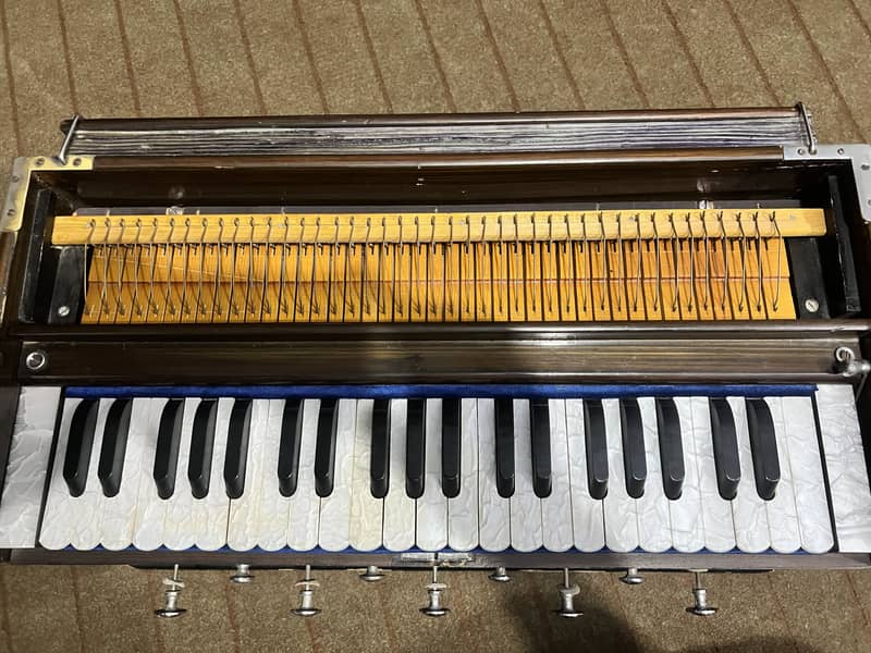 German Harmonium 6