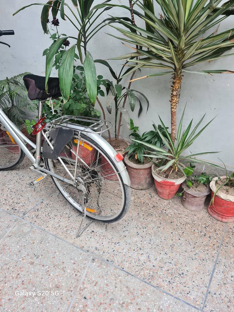 Bicycle 5