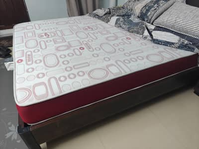For Sale – Master MoltyFoam Queen Size Mattress