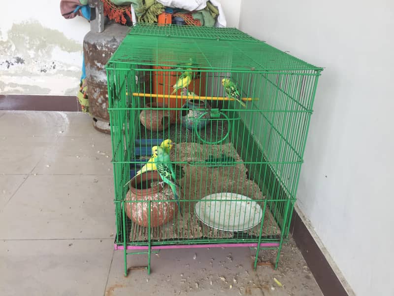onlye cage 0