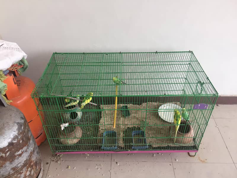 onlye cage 1