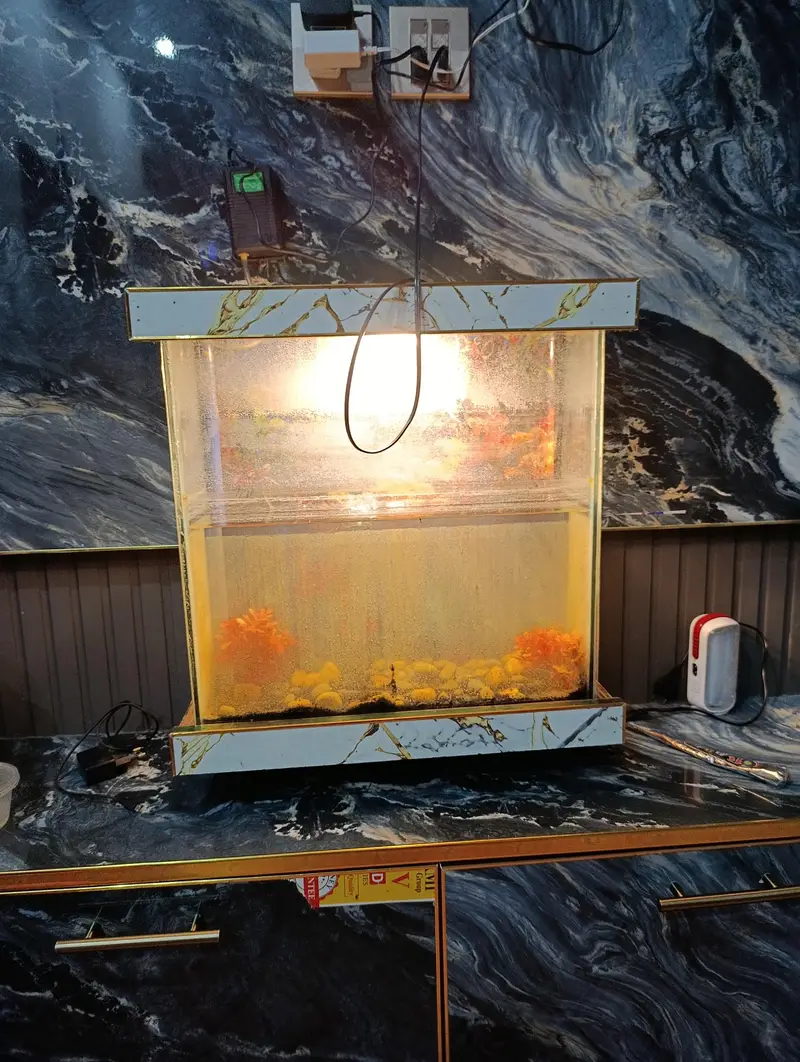 Aquarium and Fish Food