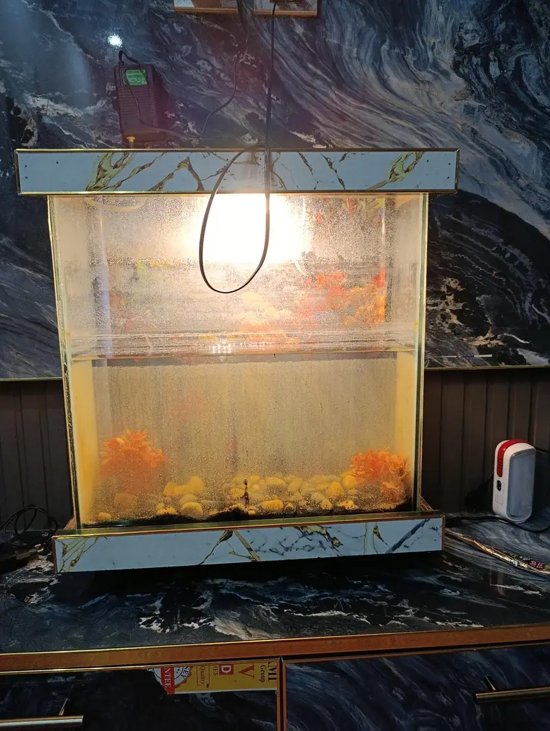 Aquarium and Fish Food — photo 2