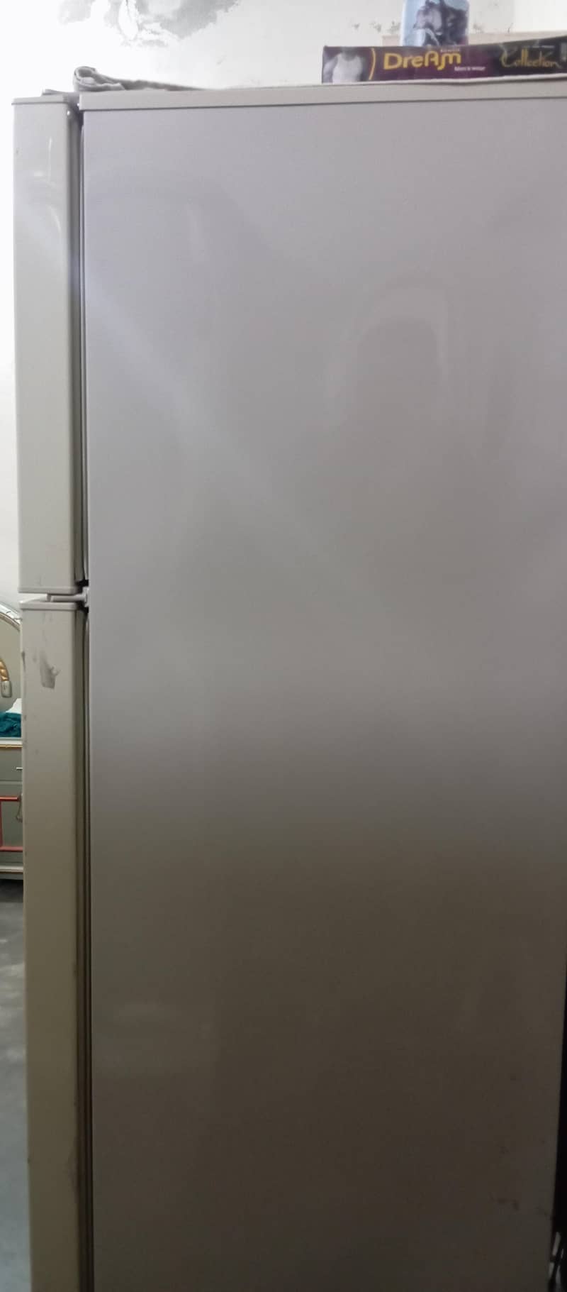 pel refrigrator 2