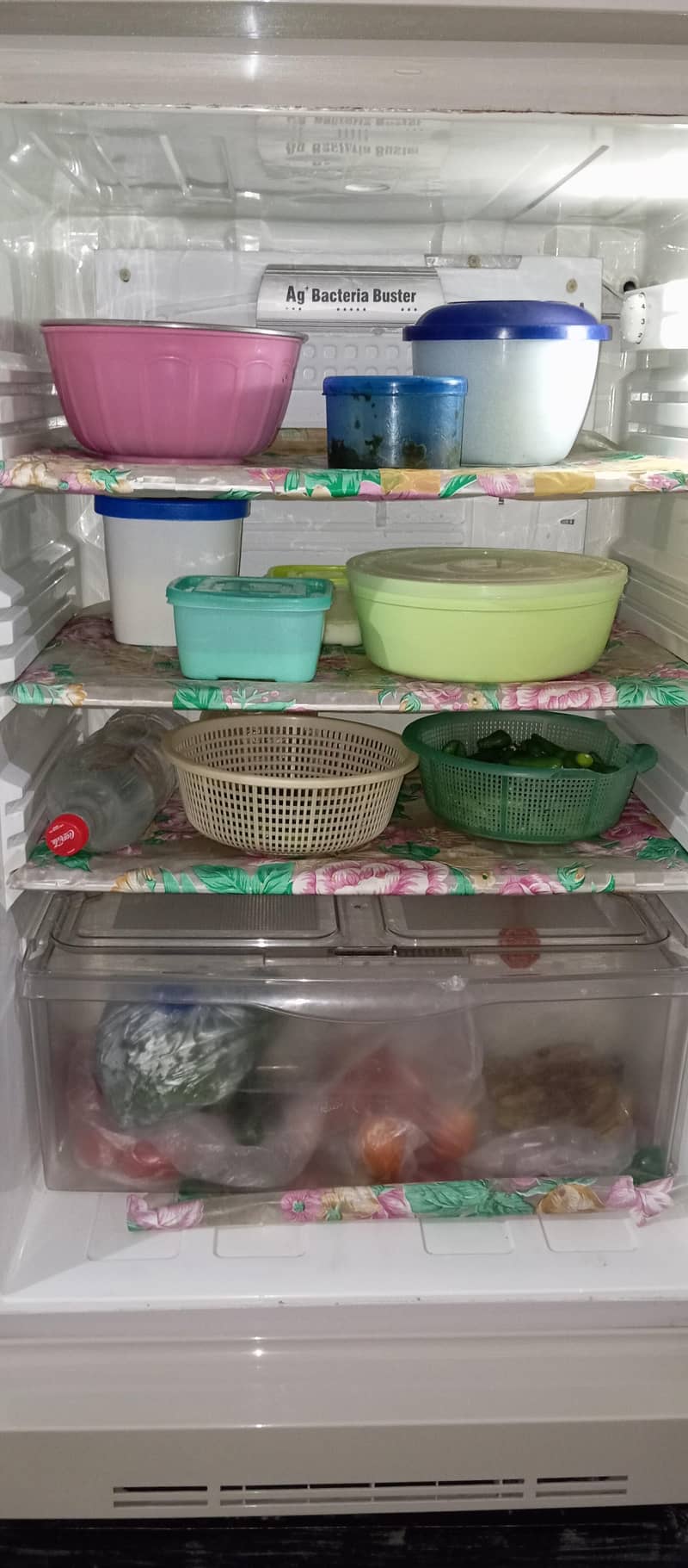 pel refrigrator 5