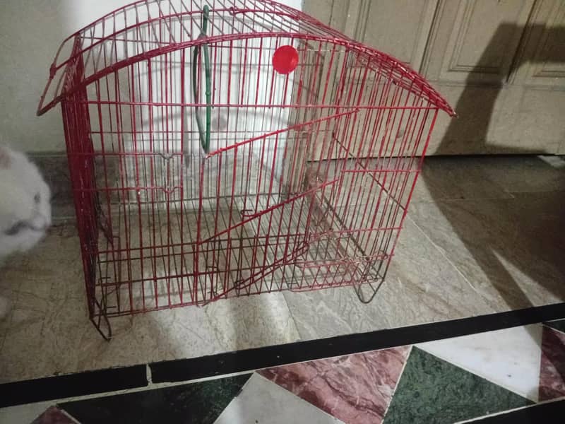 cages 0