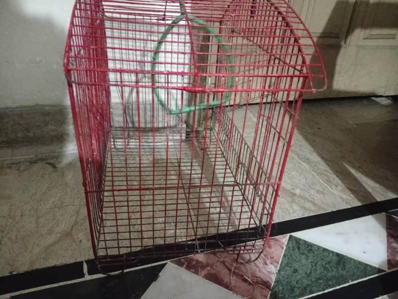 cages 1