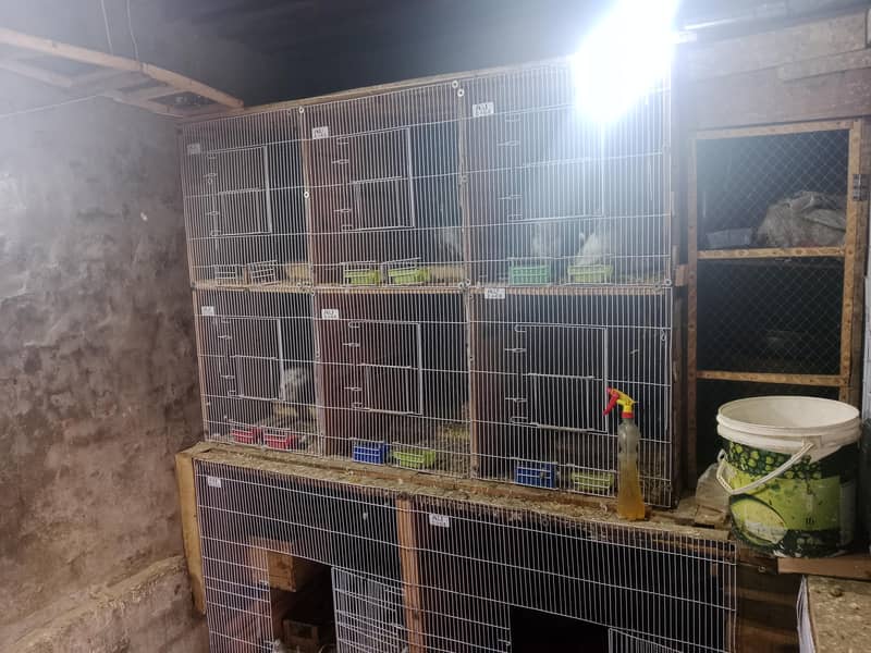 cages 2