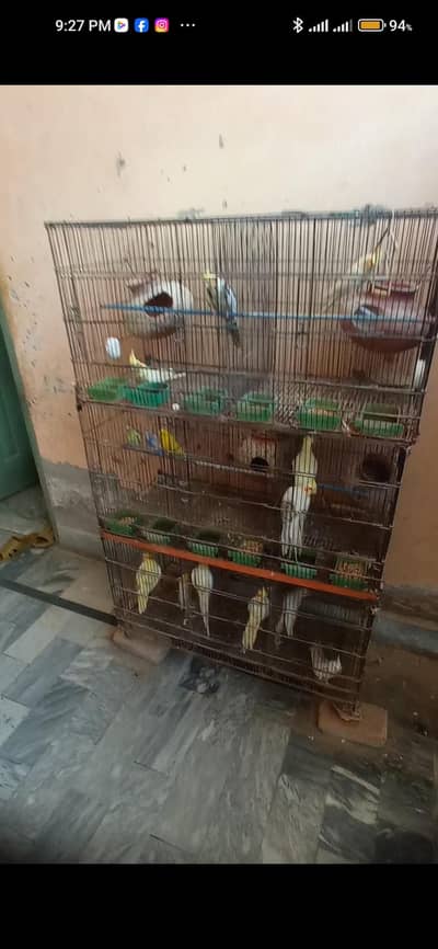 cage for sale 9 box i