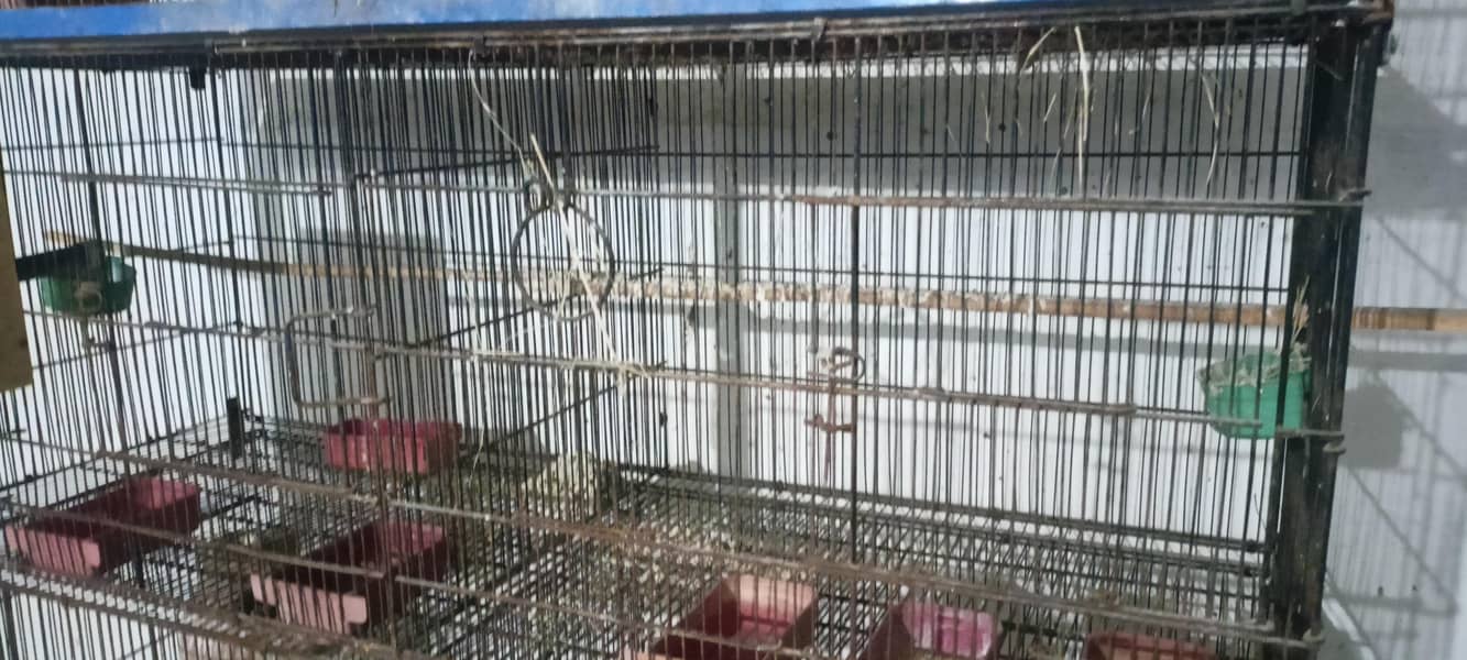 8 portion Cage 0