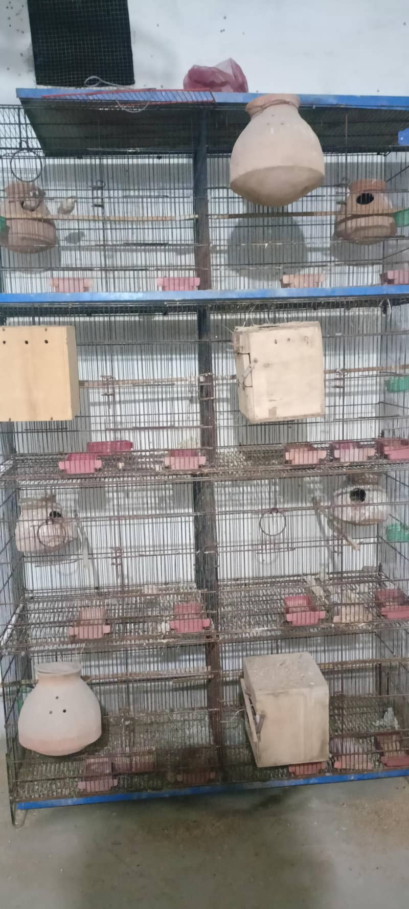 8 portion Cage 1