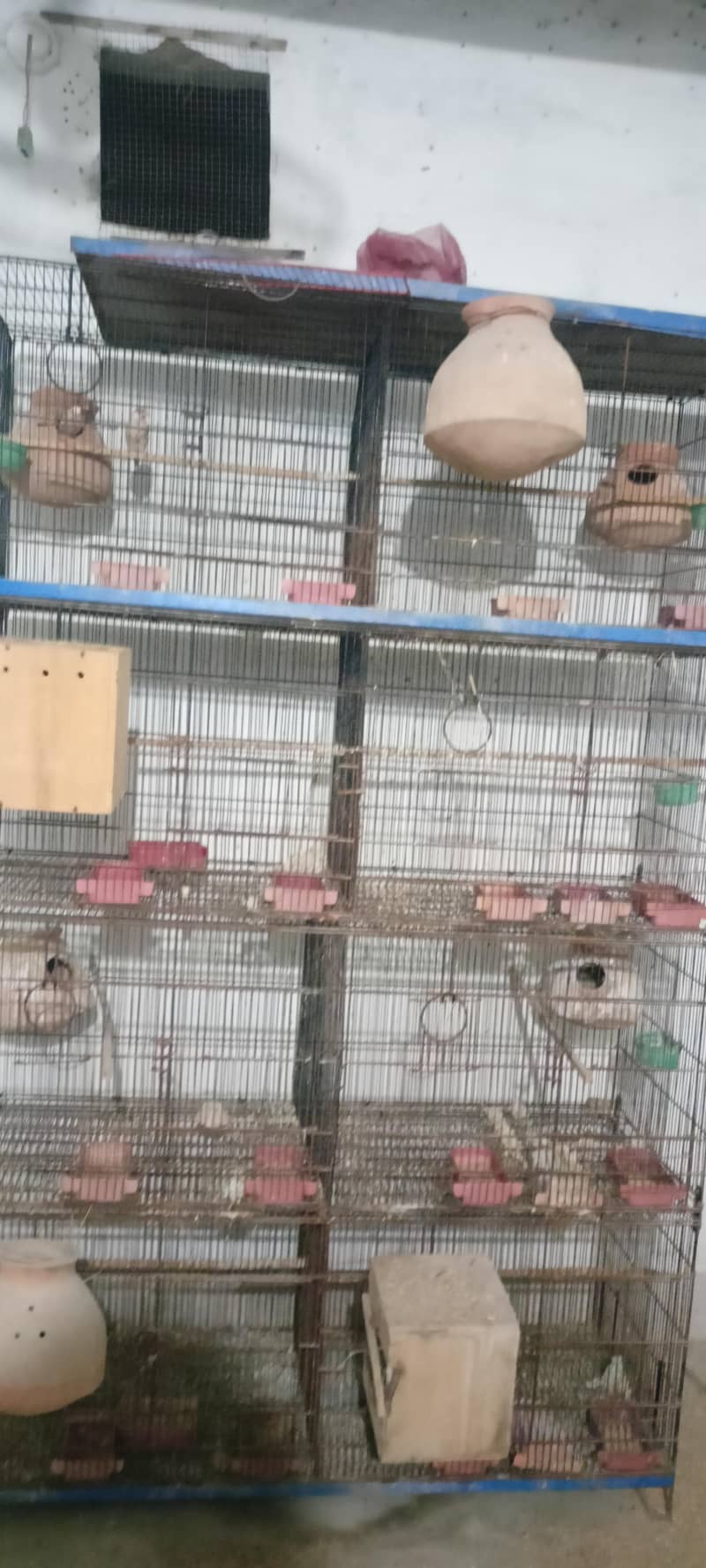 8 portion Cage 2